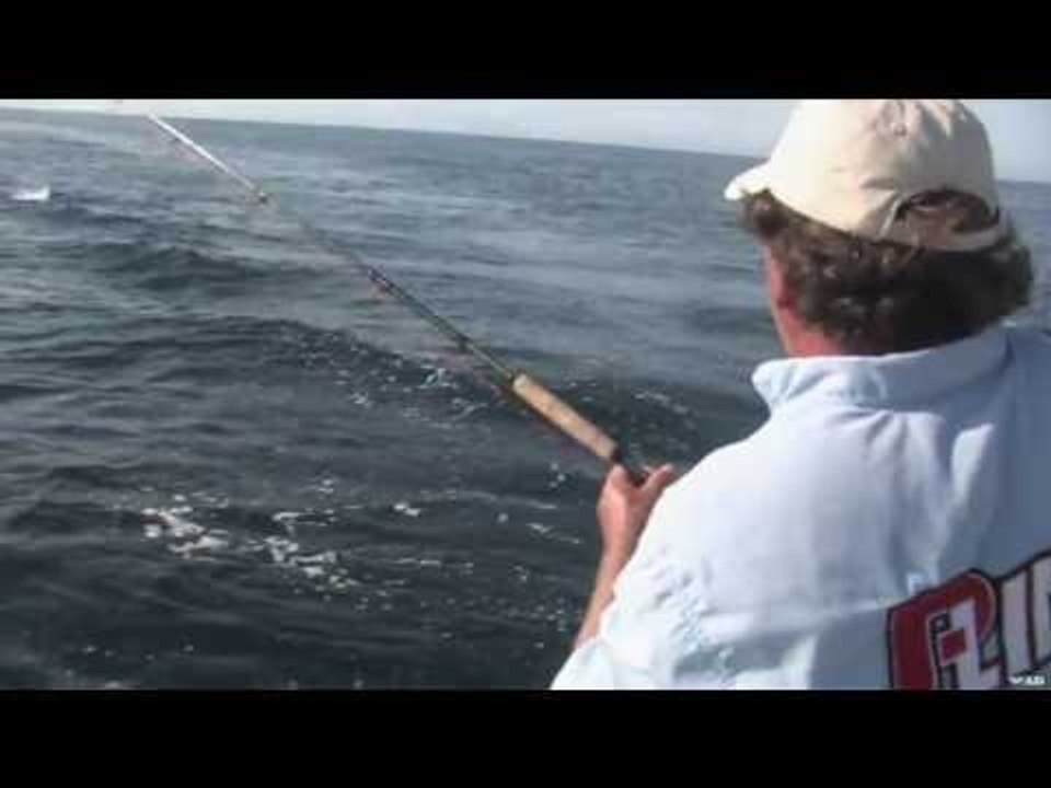 Baja Fly Fishing