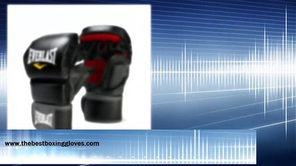 Review Of Everlast Boxing Gloves