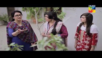 Tere Mere Beech Episode 12 Full Hum TV Drama 14 Feb 2016  FULL HD