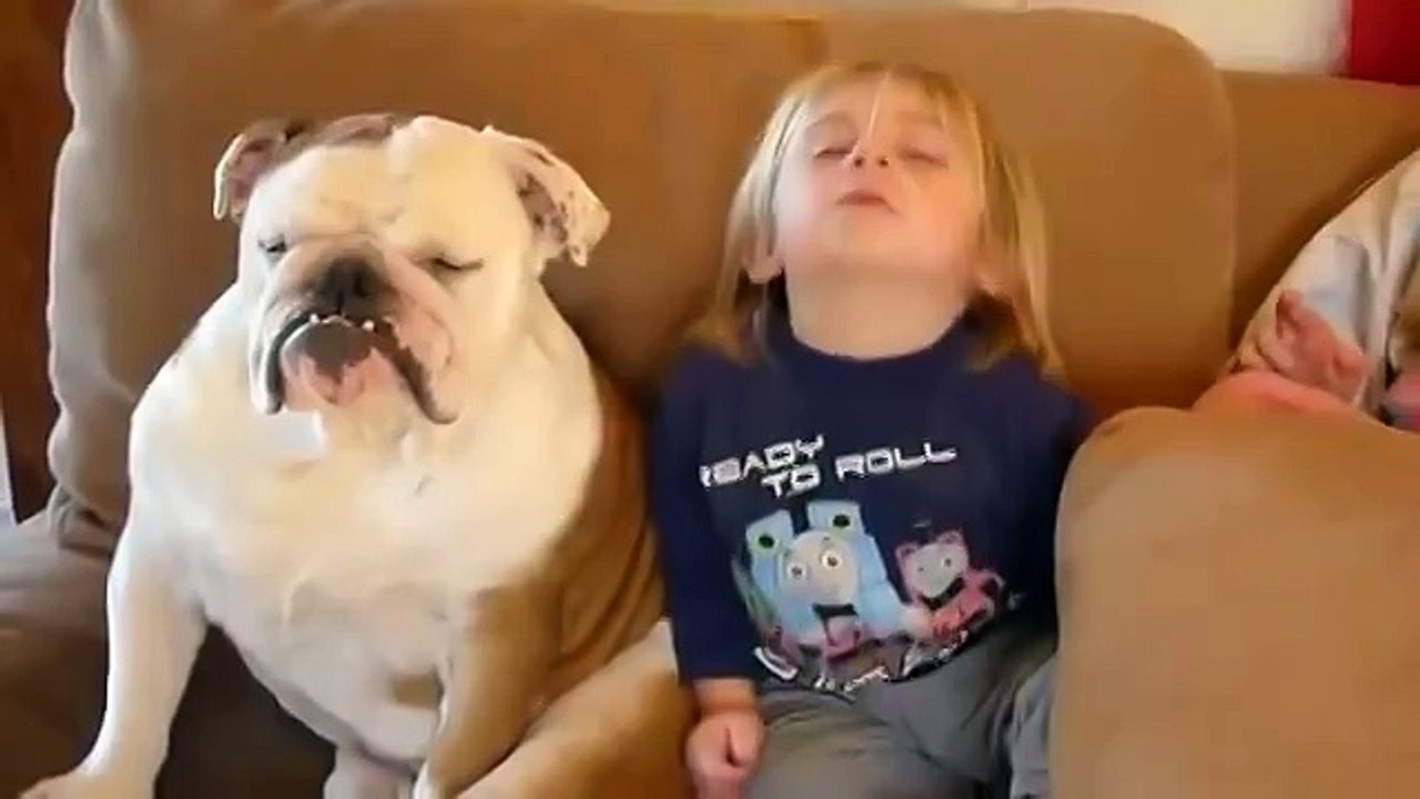 Спи со мной , мой лучший друг