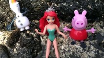 Hawaiian Disney Princess Ariel Olaf Peppa Pig Visit DOLPHINS Princess Anna Legos by HobbyKidsTV