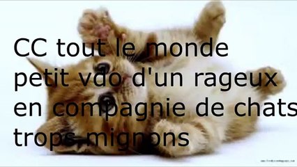 theo le rageux vacancier (1024p FULL HD)