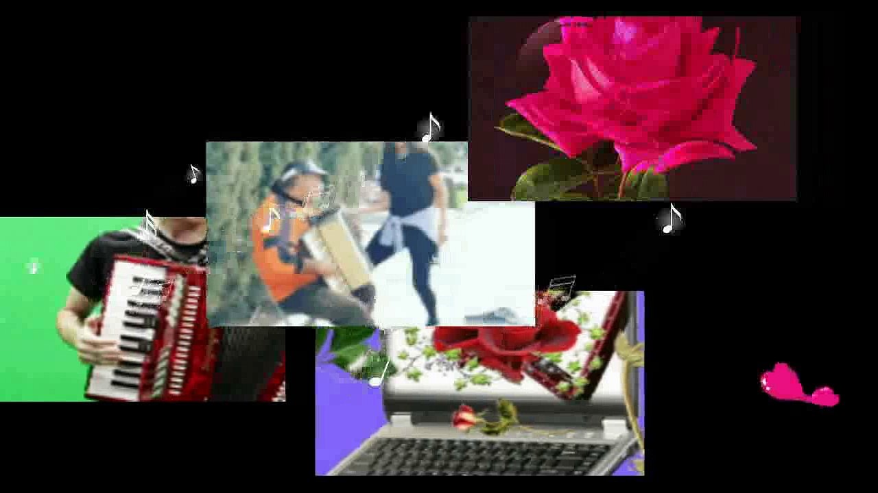 MÁRIÓ - - AMIKOR A RÓZSÁK ÚJRA NYÍLNAK - 3