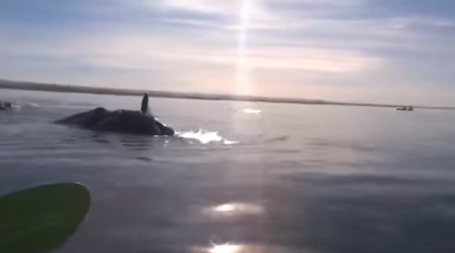 Такое бывает только раз в жизни