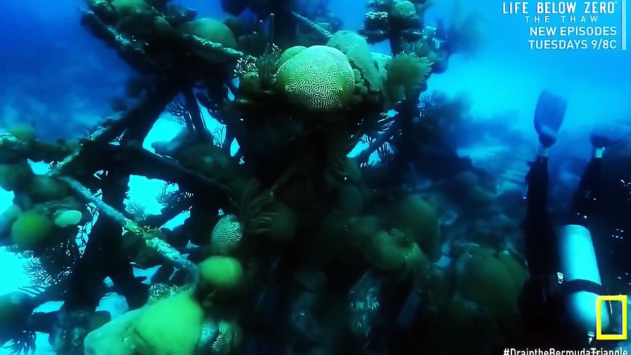 National Geographic Documentary Bermuda Triangle Mystrey Secret Revealed Full HD [Document