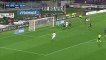 Marcelo Brozovic Goal HD - Fiorentina 0-1 Inter - 14-02-2016
