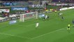 Marcelo Brozović Goal HD - Fiorentina 0-1 Inter SERIE A