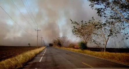 Ne jamais traverser un épais nuage de fumée en voiture