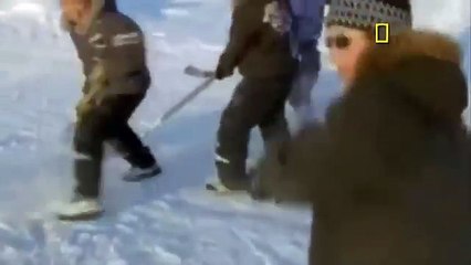 National Geographic Documentary   Polar Bear   Expedition and More!