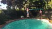 Guy Catches Frisbee while Backflipping off Diving Board