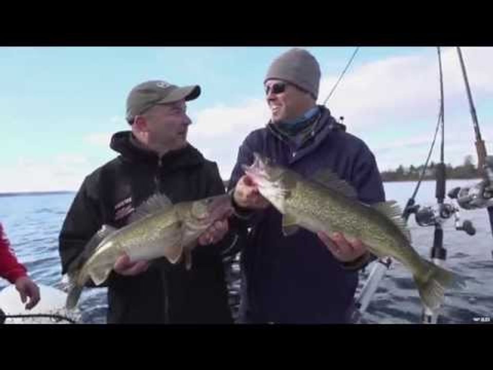 Bay Of Quinte Walleye