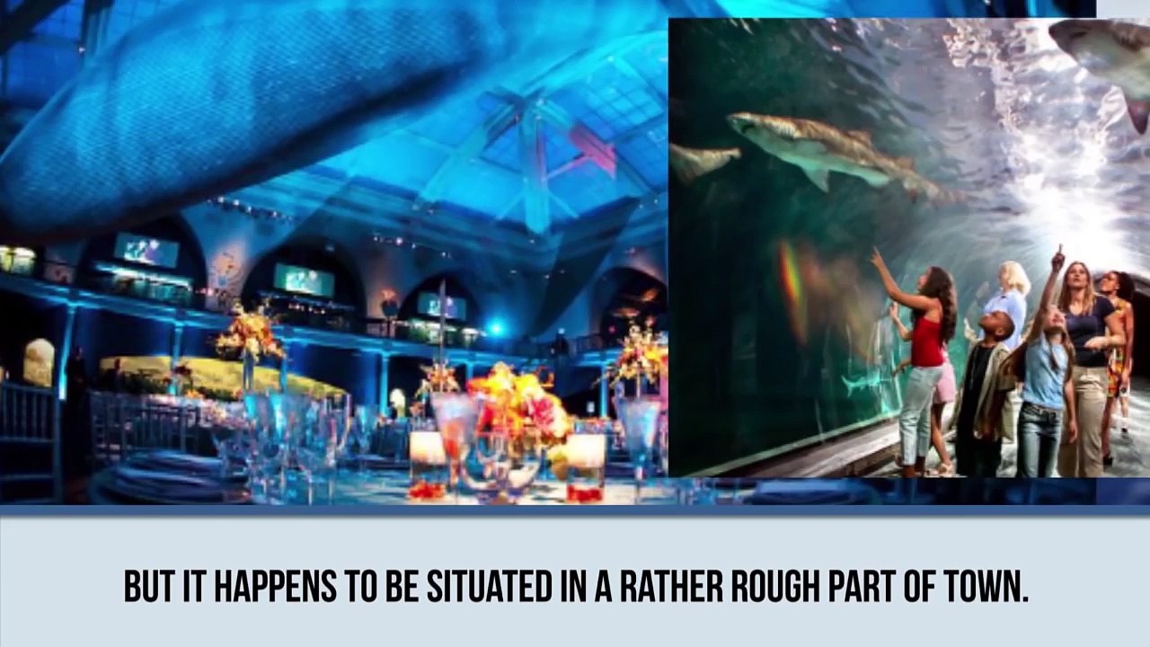 The Craziest High School Prom Stories