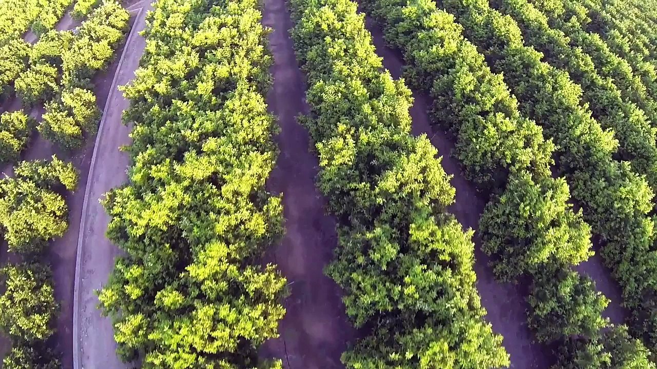 Protecting Irrigation Well Pumps from Sand Damage