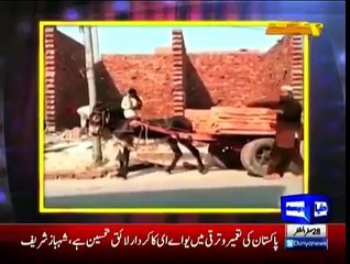 Hasb e Haal - 10 December 2015 | Azizi as Pervaiz Rasheed