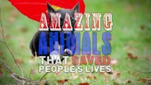 Unbelievable Animals That Saved People s Lives (2)