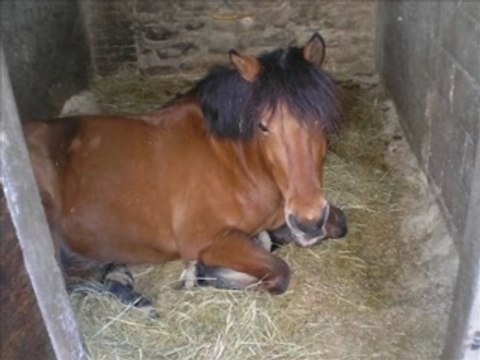 Mes Amours de ma viie !!