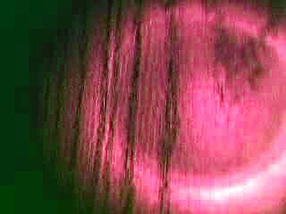 Alex Jones Exposes Identity Politics and the New World Order