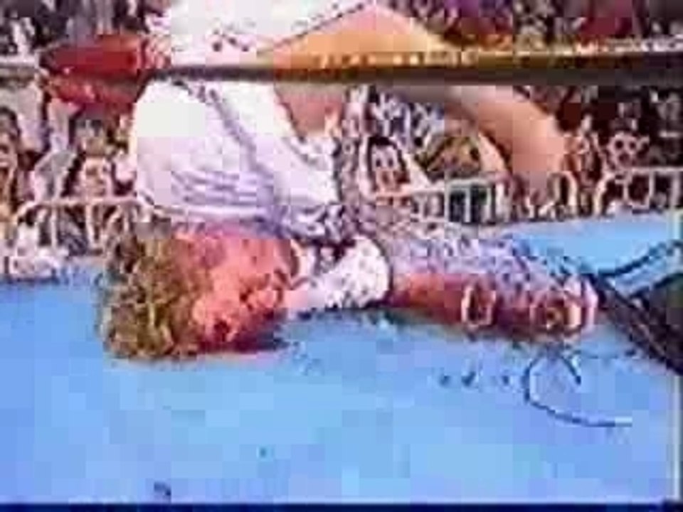 WWE.WCW.ECW Tribute Best of extreme