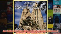 Download PDF  Just Cathedral Photos Big Book of Photographs  Pictures of Cathedrals and Churches Vol FULL FREE