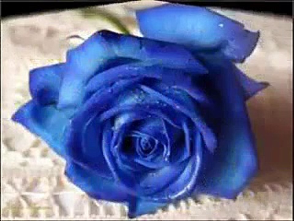 دعاء مع خلفية ورود