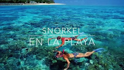 Full Day en PARACAS - Paracasights.com