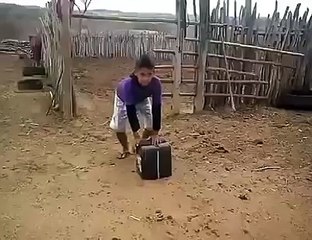 videos engraçados 2016 isso que da ser curioso kkk