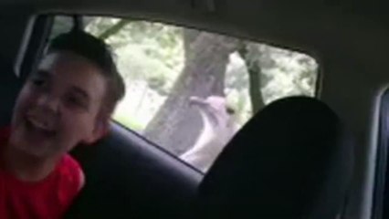 Ostrich Steals Boy Phone
