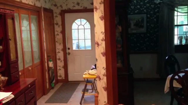 Zeus The Dog Opens And Closes The Door