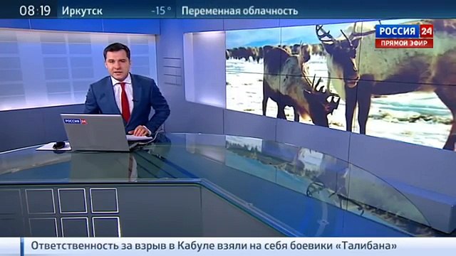 Разгадать тайну эвенкийских оленей помогли высокие технологии