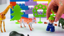 Развивающий мультик - Зоопарк. Мультфильмы для детей, деток, малышей. Мультики
