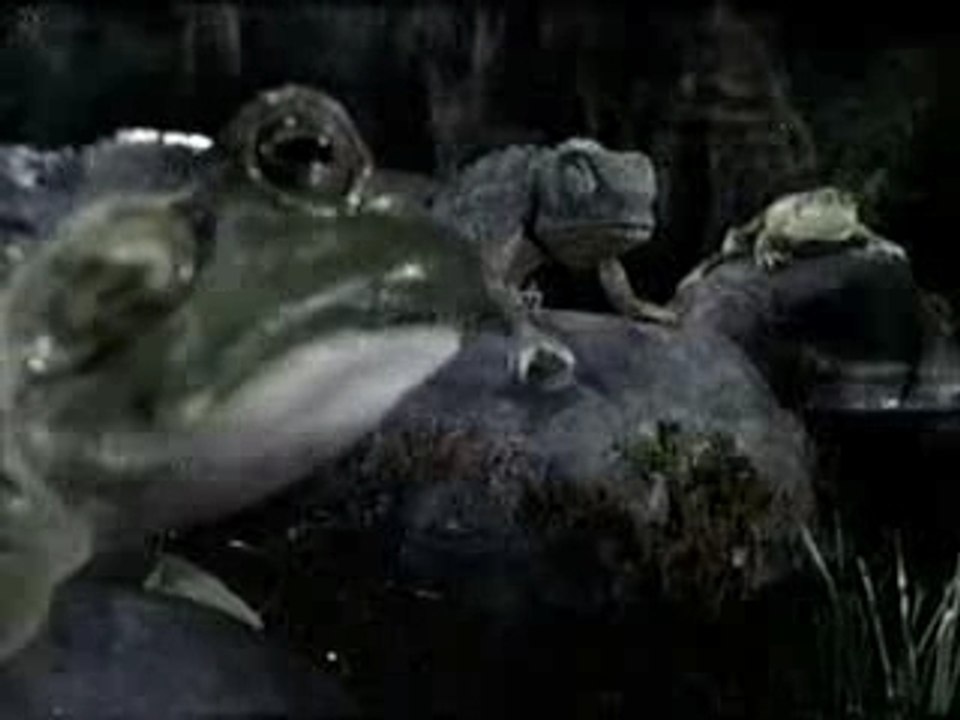Budweiser - Frogs & Lizards