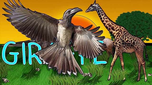 Animal Finger Family Nursery Rhymes Song! Finger Family Song Animals Wild Animals Finger Family Song