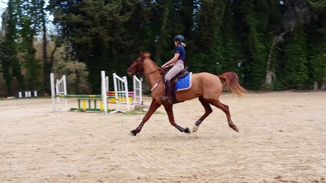 Concours entrainement 70/80