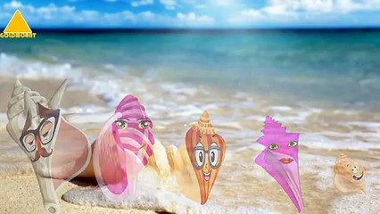 Children Rhymes | Conch Finger Family Song | Childrens Song