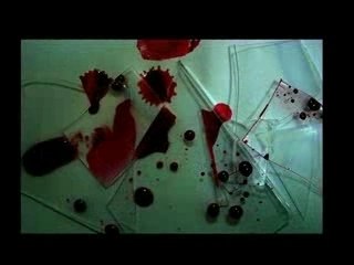 J'ai rêvé qu'on pouvait s'aimer