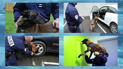 Préf Police le Blog : présentation