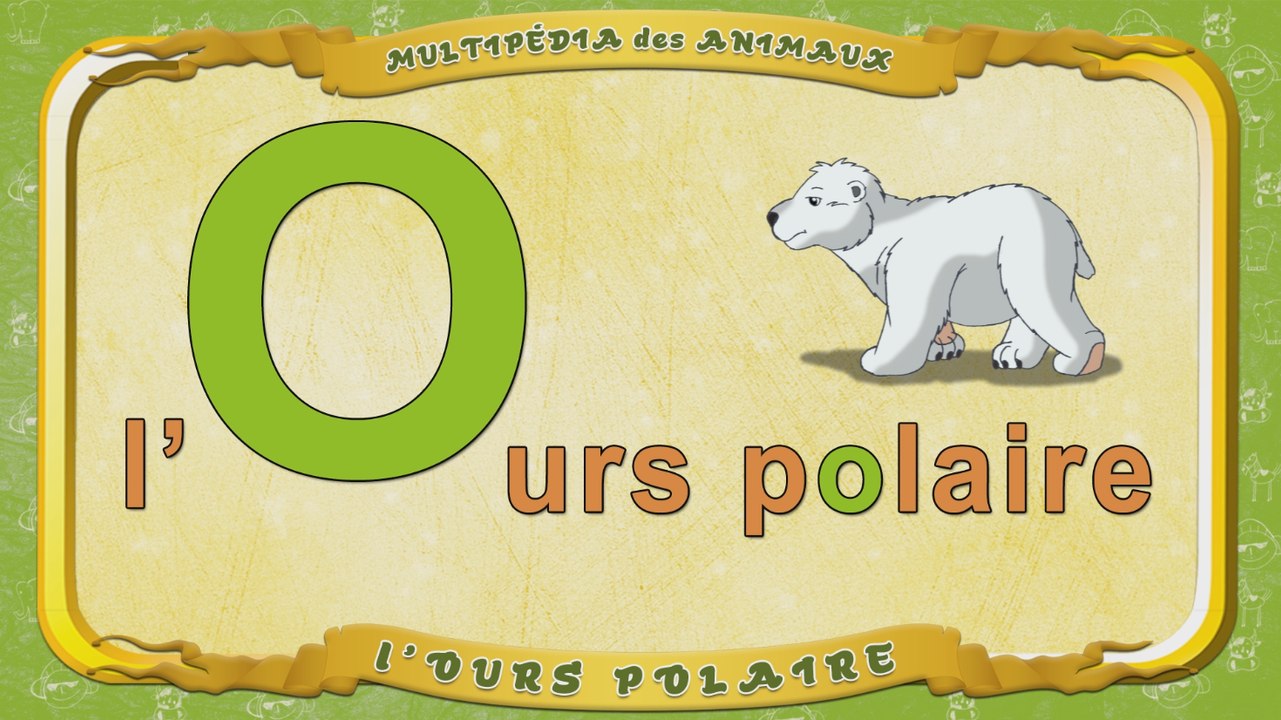 Multipédia des animaux. La lettre O - l'Ours polaire