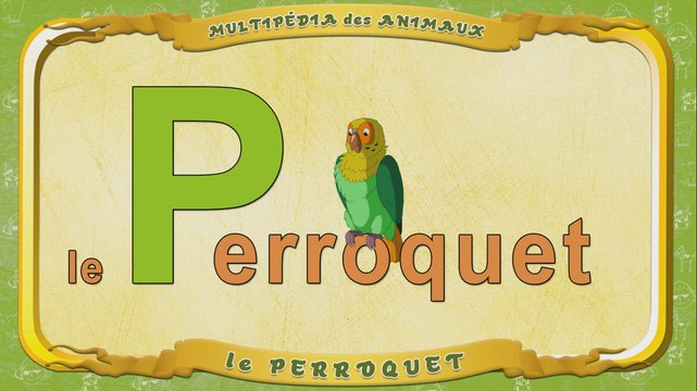 Multipédia des animaux. La lettre P - le Perroquet