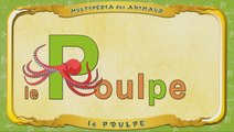 Multipédia des animaux. La lettre P - le Poulpe