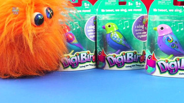 DigiBirds Toy Singing Birds Living The Tweet Life Spin Master Toy Review