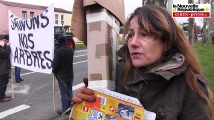 VIDEO. Poitiers. Abattage d'arbres et arrestation musclée à Poitiers