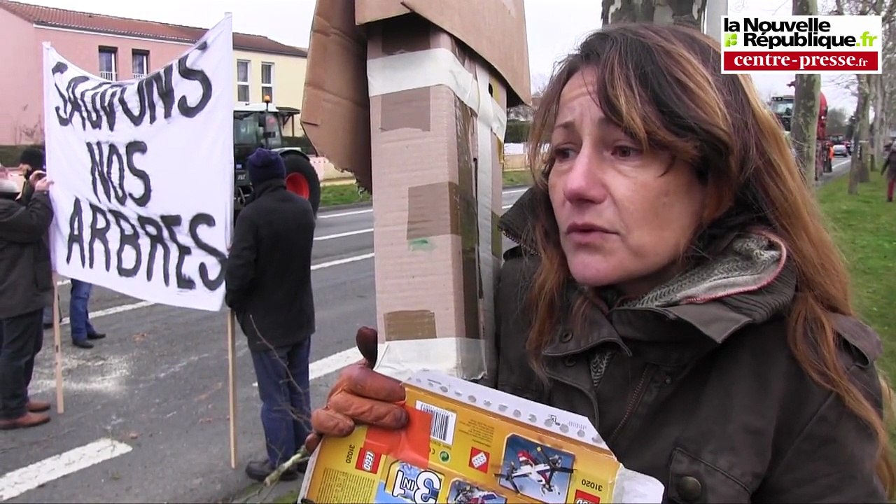 VIDEO. Poitiers. Abattage d'arbres et arrestation musclée à Poitiers