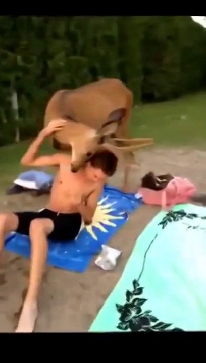 Каждый день такое не увидишь