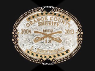 Mollys Custom Silver are Beautiful