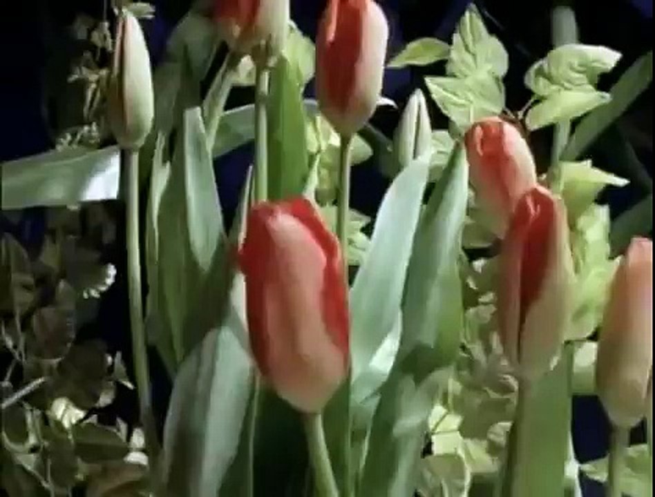 Super Máquinas: Imagem Impossível (Dublado) - Documentário Discovery Channel