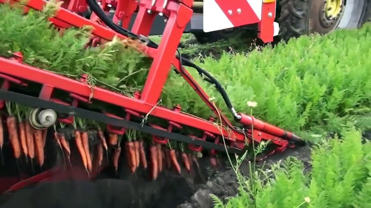 La vidéo la plus satisfaisante du monde