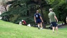 Runnaway Dog