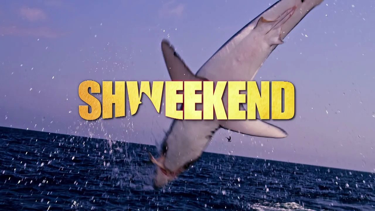 Shweekend: A Weekend Full of Sharks!