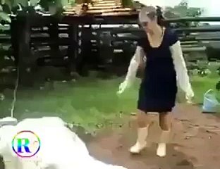 Dont Make The Animals Angry - Videos