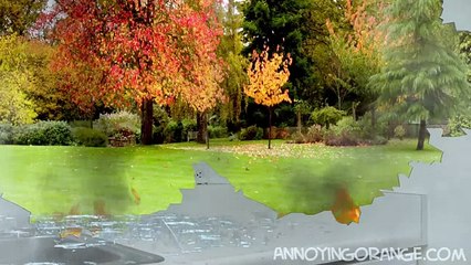 Надоедливый Апельсин (110 серия) [Озвучка- MiST]